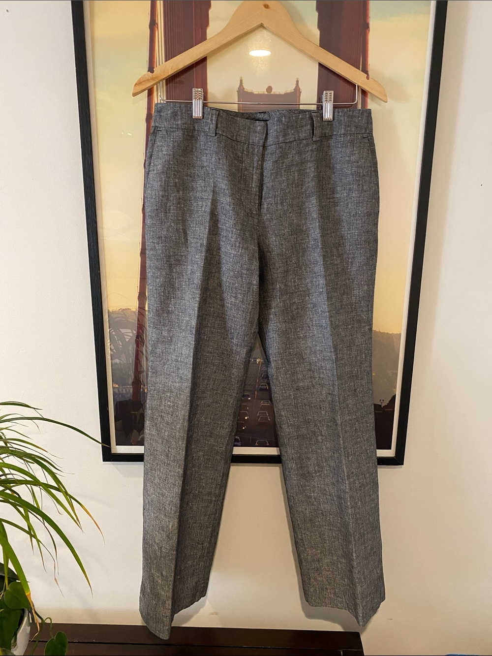 ANN TAYLOR